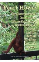 The Orangutans of Semenggoh, Mount Santubong, the Sun Bears of Matang and the Rain in Kuching, Sarawak, Borneo