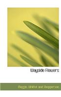 Wayside Flowers
