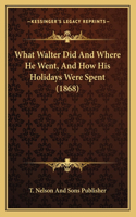 What Walter Did And Where He Went, And How His Holidays Were Spent (1868)