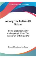 Among The Indians Of Guiana