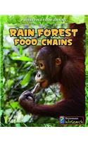 Rain Forest Food Chains