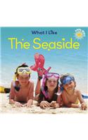 Little Stars: What I Like: The Seaside: (Little Stars: What I Like)