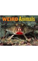 Weird Animals