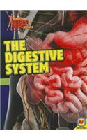 Digestive System