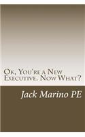 OK, You're a New Executive. Now What?