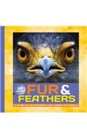 Fur & Feathers: A close-up photographic look inside your world(Up Close)