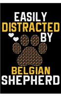 Easily Distracted by Belgian Shepherd