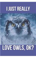 I Just Really Love Owls, Ok?