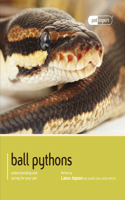 Ball Python (Royal Python): (Pet Expert)