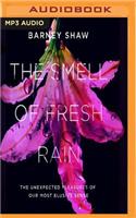 Smell of Fresh Rain