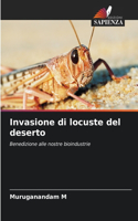 Invasione di locuste del deserto