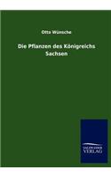 Die Pflanzen Des Konigreichs Sachsen