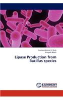 Lipase Production from Bacillus species