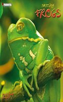 Amazing Frogs 2017