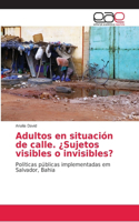 Adultos en situación de calle. ¿Sujetos visibles o invisibles?