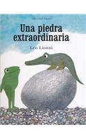 Una Piedra Extraordinaria