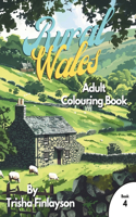 Rural Wales 4: Unwind, Colour, and Relive the Magic of Rural Wales
