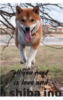 all you need is love and a shiba inu