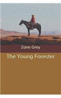 The Young Forester