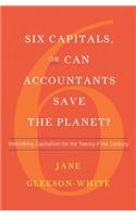 Six Capitals, or Can Accountants Save the Planet?: Rethinking Capitalism for the Twenty-First Century