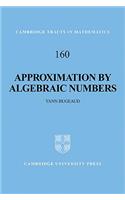 Approximation by Algebraic Numbers
