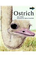 Ostrich South African Edition