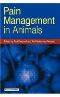 Pain Management in Animals