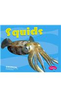 Squids