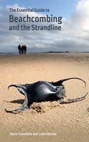 Essential Guide to Beachcombing and the Strandline