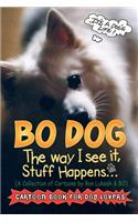 Bo Dog