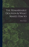 Remarkable Dolphin & What Makes Him So