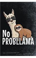 No ProbLlama