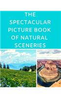 Spectacular Picture Book Of Natural Sceneries: A Reading Gift Book for Alzheimer Or Dementia Patients Parents Grandparents: Senior Citizens Day