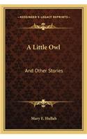 A Little Owl