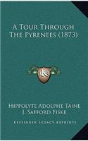 A Tour Through the Pyrenees (1873)