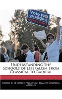 Understanding the Schools of Liberalism from Classical to Radical