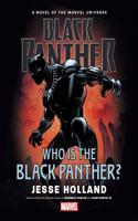 Black Panther: Who Is The Black Panther