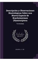 Descripción y Observaciones Bioetológicas Sobre una Nueva Especie de Brachymyrmex (Hymenoptera