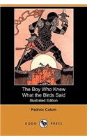 Boy Who Knew What the Birds Said (Illustrated Edition) (Dodo Press)