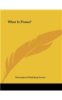 What Is Prana?