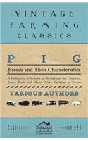 Pig Breeds and Their Characteristics - A Collection of Articles on Berkshires, the Cheshire, Jersey Reds and Many Other Varieties of Swine