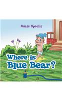 Where Is Blue Bear?
