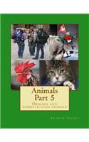 Animals Part 5