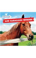 Los Caballos / Horses