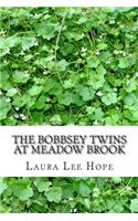 The Bobbsey Twins at Meadow Brook