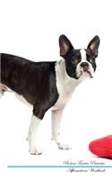 Border Collie Affirmations Workbook Border Collie Presents: Positive and Loving Affirmations Workbook. Includes: Mentoring Questions, Guidance, Supporting You.