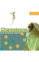 Chameleon - English