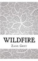 Wildfire
