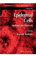 Epidermal Cells