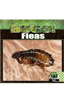 Fleas